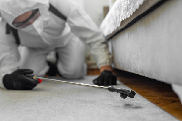 Professional Bed Bug Control technician working in Deerfield Beach, FL