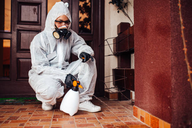 Reliable Bed Bug Control contractor in Deerfield Beach, FL by Nex Pest Control