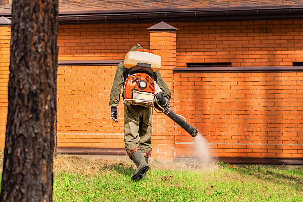 Trusted Emergency Pest Control service in Deerfield Beach, FL - Nex Pest Control